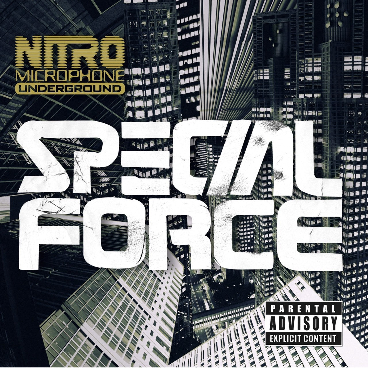 SPECIAL FORCE(2LP)