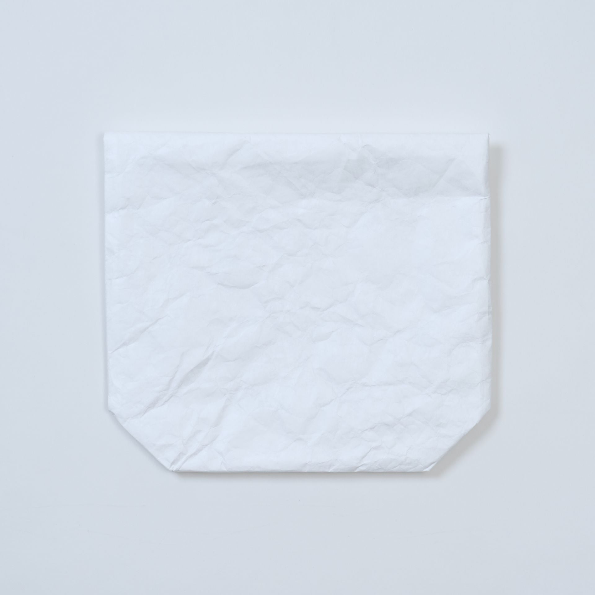 NMU TYVEK CLUTCH BAG / WHITE