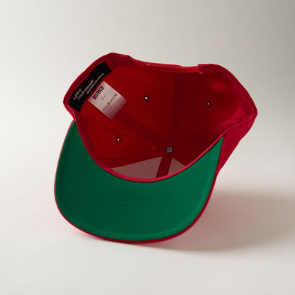 NMU LOGO FLAT VISOR SNAPBACK CAP（COLOR） / RED
