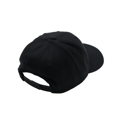 NMU LOGO CURVE VISOR SNAPBACK CAP